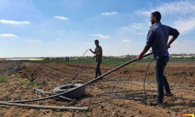 وزارة الزراعة بغزة: رابط تسجيل الأضرار الزراعية الناجمة عن الحرب