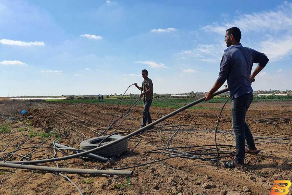 وزارة الزراعة بغزة: رابط تسجيل الأضرار الزراعية الناجمة عن الحرب