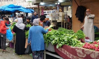 فرصة دعم جديدة: رابط التسجيل للقسائم الشرائية من جمعية أصدقاء بلا حدود